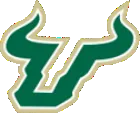 University of South Florida University of South Florida